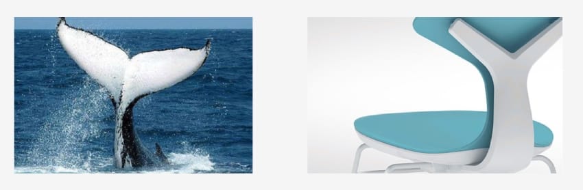 Ghế Multi Chair VG1830 được lấy cảm hứng thiết kế từ đuôi cá voi